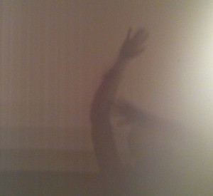 two arms and hands caught in shadow on the walls of the House