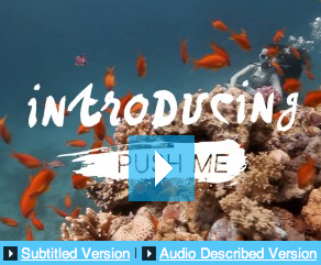 screen grab of the still for the introduction film - underwater scene with orange fish. Text read Introducing Push Me