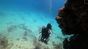 screen shot of Sue Austin diving underwater in her underwater wheelchair.