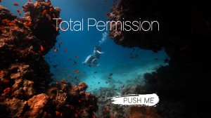 Total Permission film poster - Sue Austin's underwater wheelchair between coral and with fish, text also reads push me.